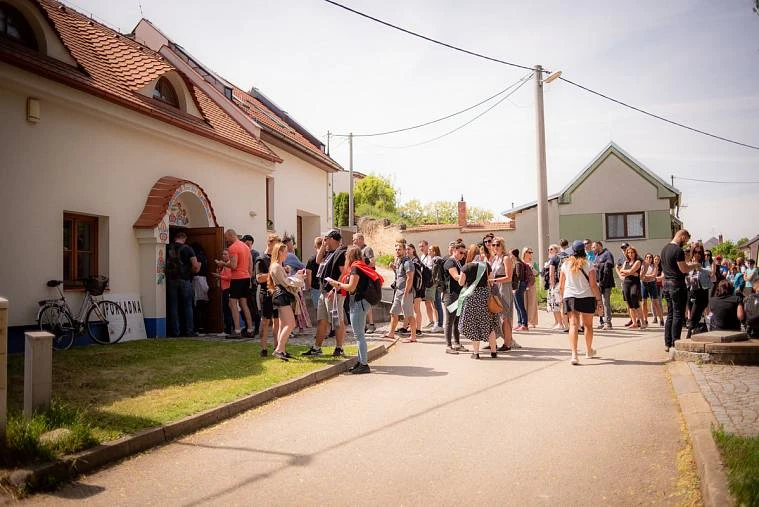 Hovoranskými vinohrady za vínem 2024
